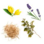 doTERRA Serenity Bath Bar / Serenity szappan - Image 2